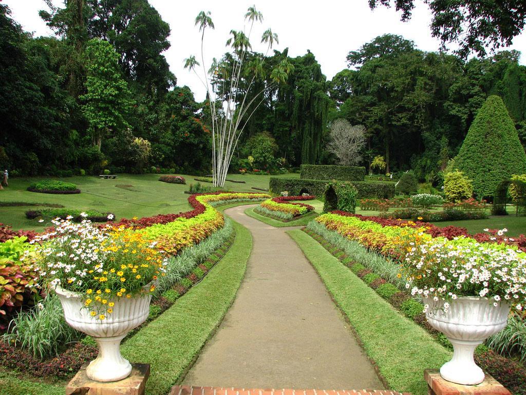 Apple Sara Home Stay Kandy Exteriör bild